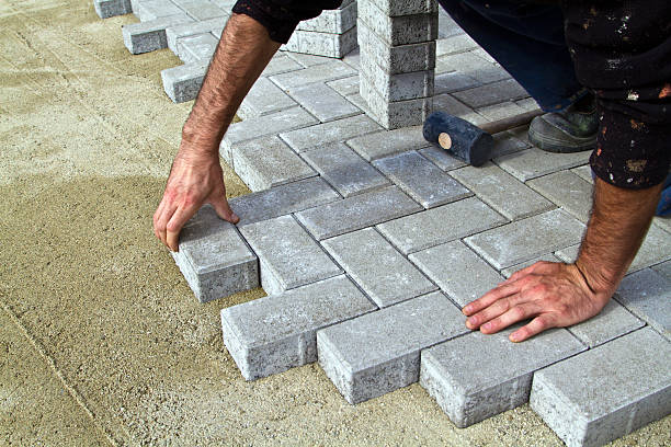 Best Best Driveway Pavers  in Melrose, MN